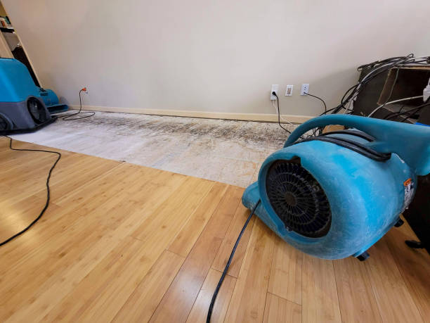 Professional Flood Damage Cleanup technician working in Ottawa, IL